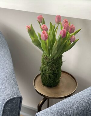 Pink Tulips in a Moss covered vase.