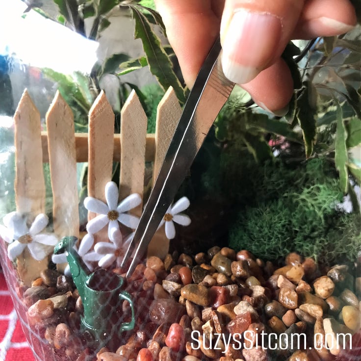 Use long tweezers to place miniatures into the terrarium.
