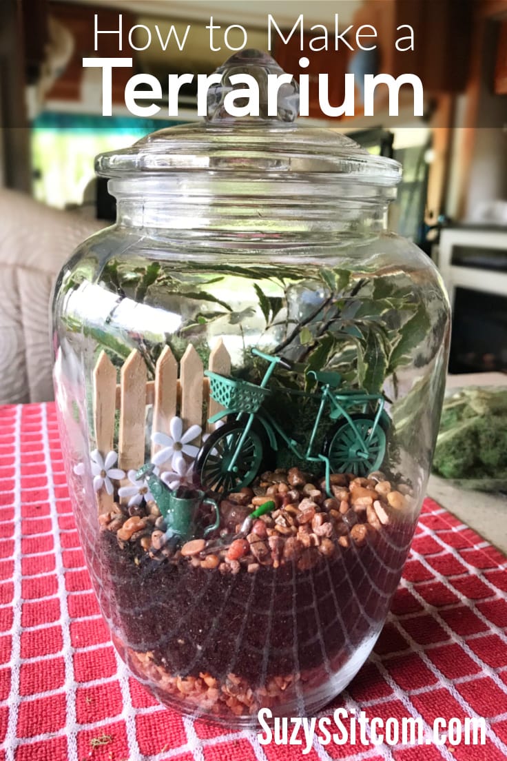 How to make a terrarium with miniatures.