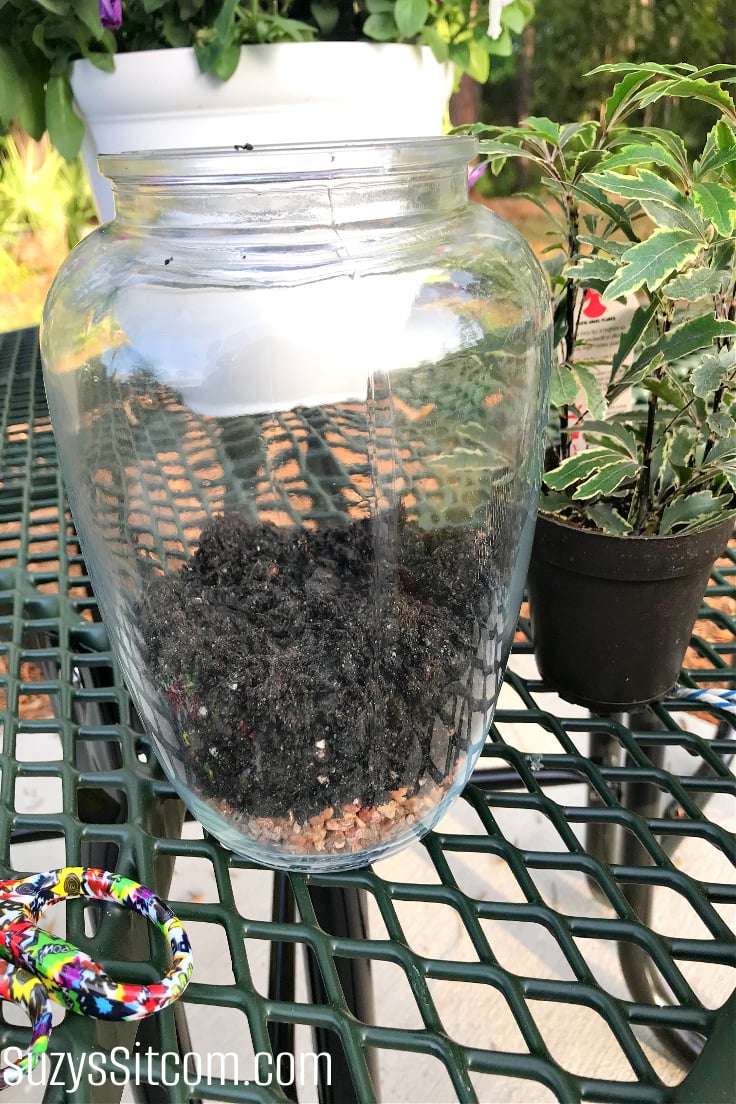Add soil to the glass jar.
