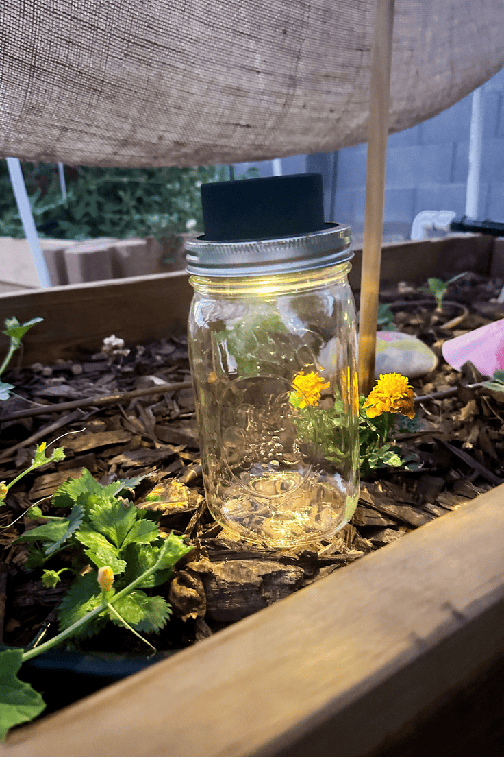 Mason jar light sitting in a garden