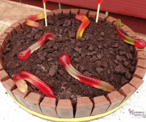 bug-themed birthday cake idea