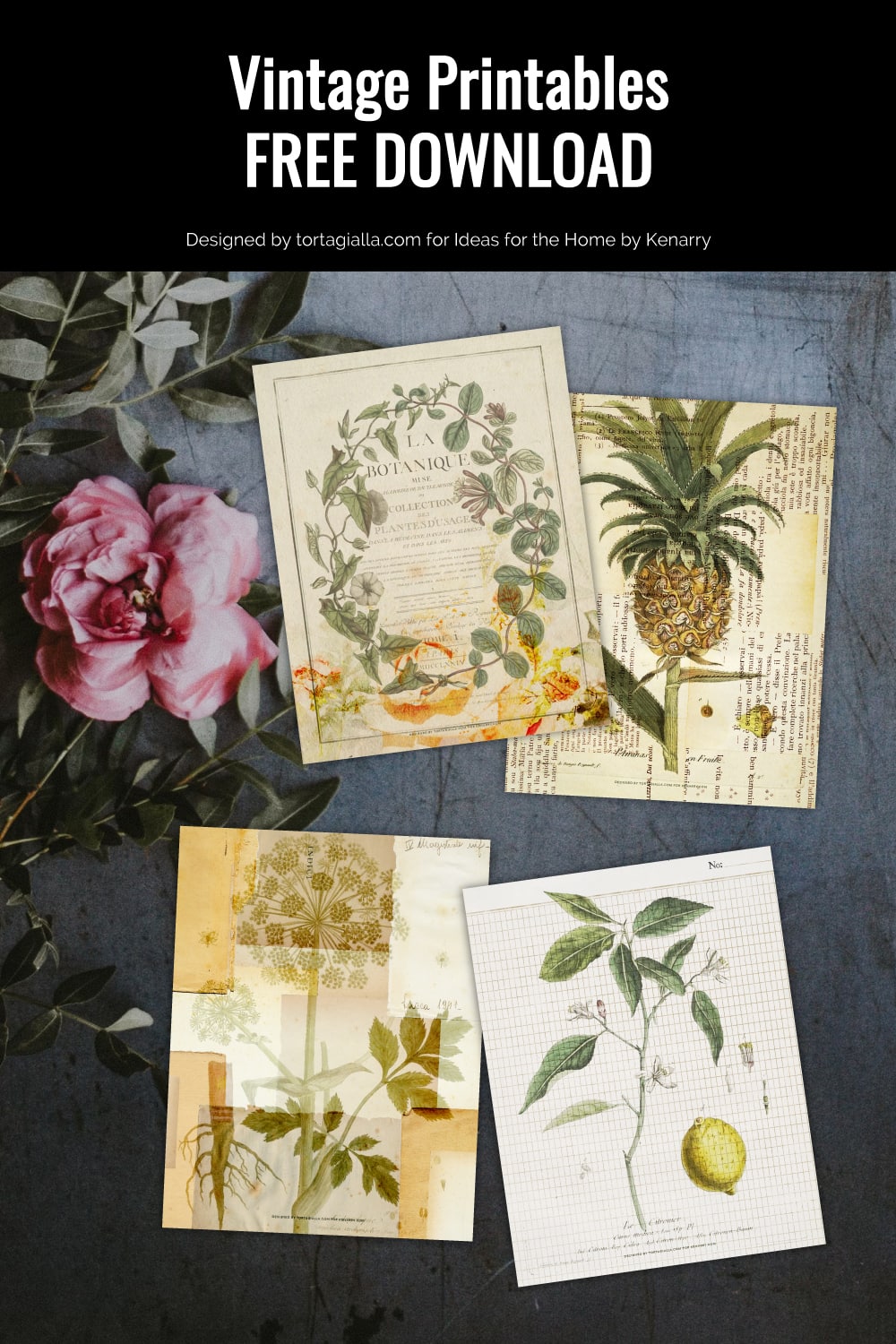 Preview of four vintage paper and botanical style art prints on dark slate background with pink flower and foilage on the left.