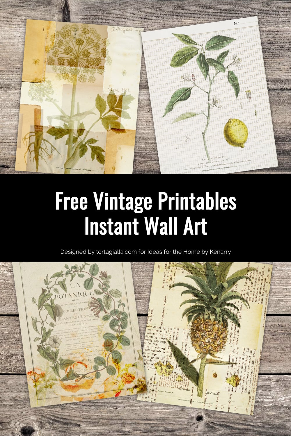 Preview of four vintage paper and botanical style art prints on wooden planks background.