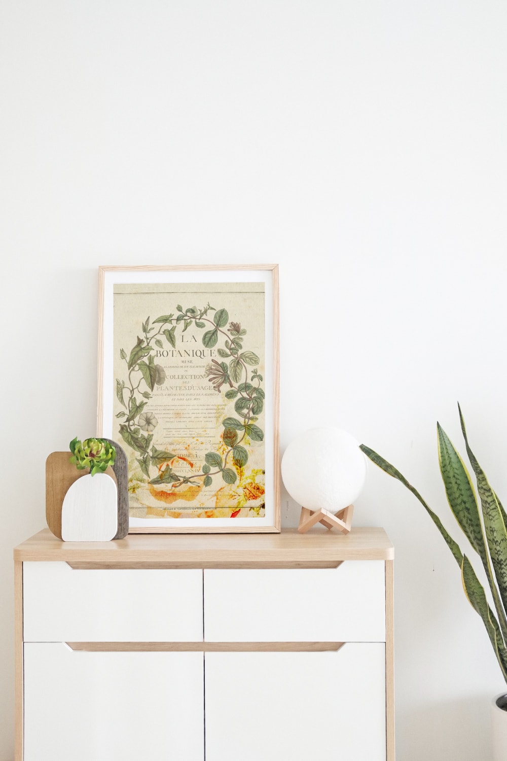 Preview of vintage botanical style art print in a wooden frame leaning on white wall on top of wooden drawer with plant deco and white globe decoration on right and large succulent plant on bottom right. 