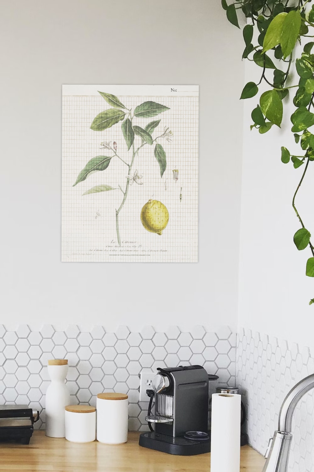 Preview of lemon vintage botanical style art print on white kitchen wall above countertop with coffee machine and white containers with view of hanging ivy on right side.