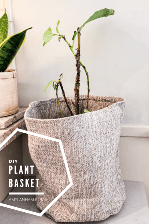 a fabric plant pot